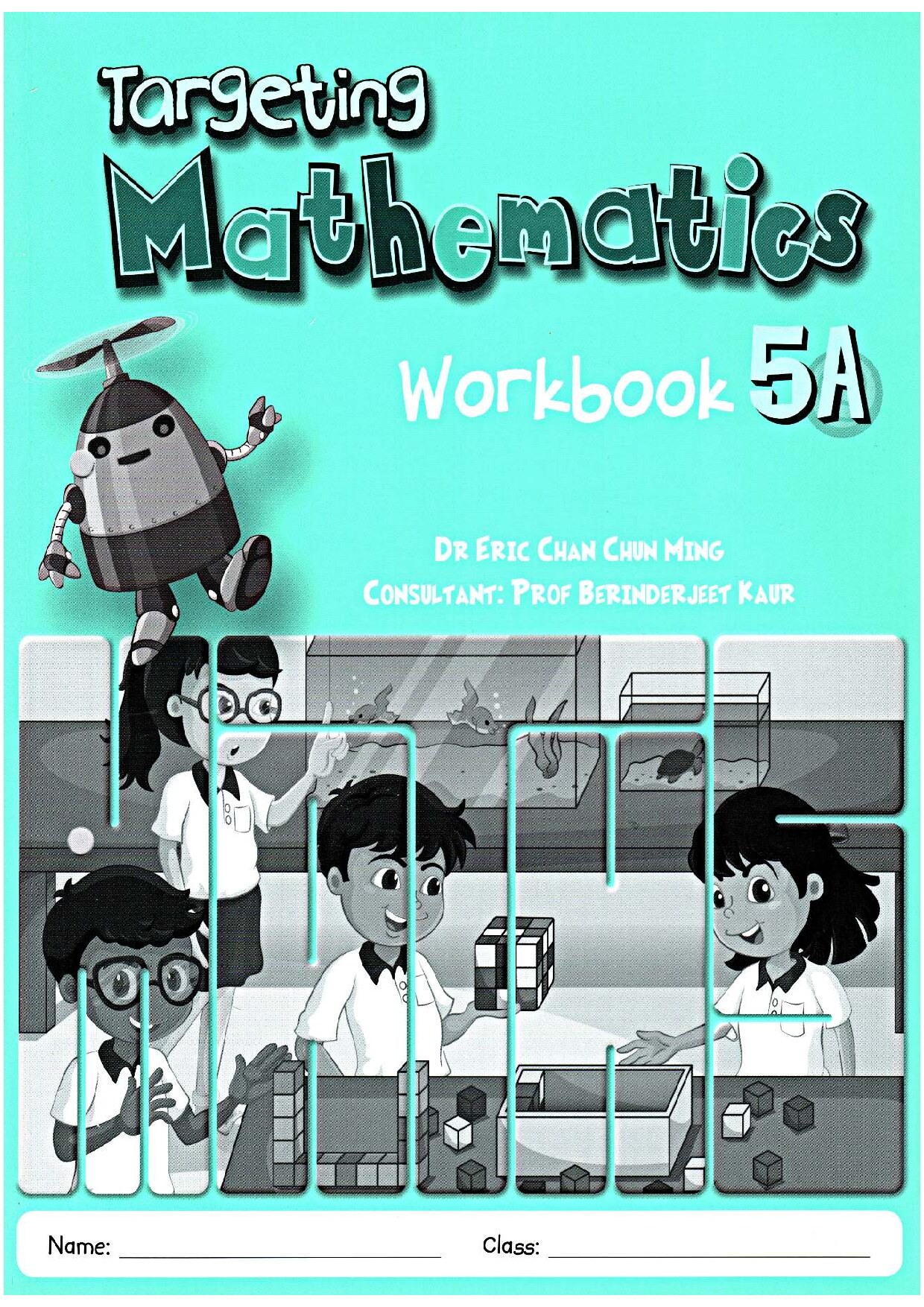 Targeting Mathematics Workbook 5A