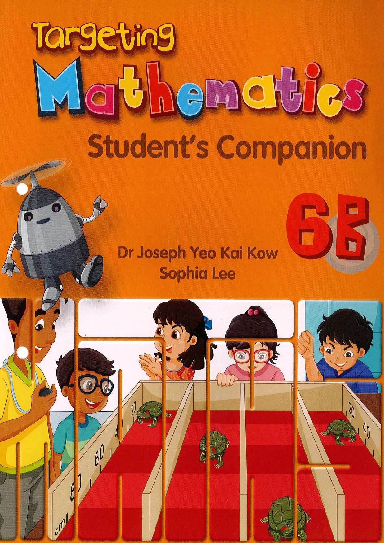 Targeting Mathematics Student's Companion 6B