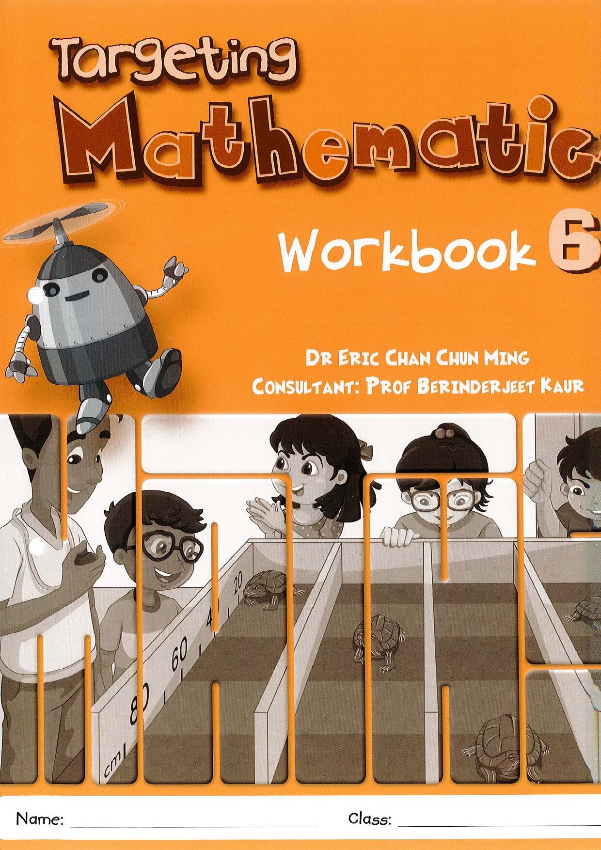 Targeting Mathematics Workbook 6B