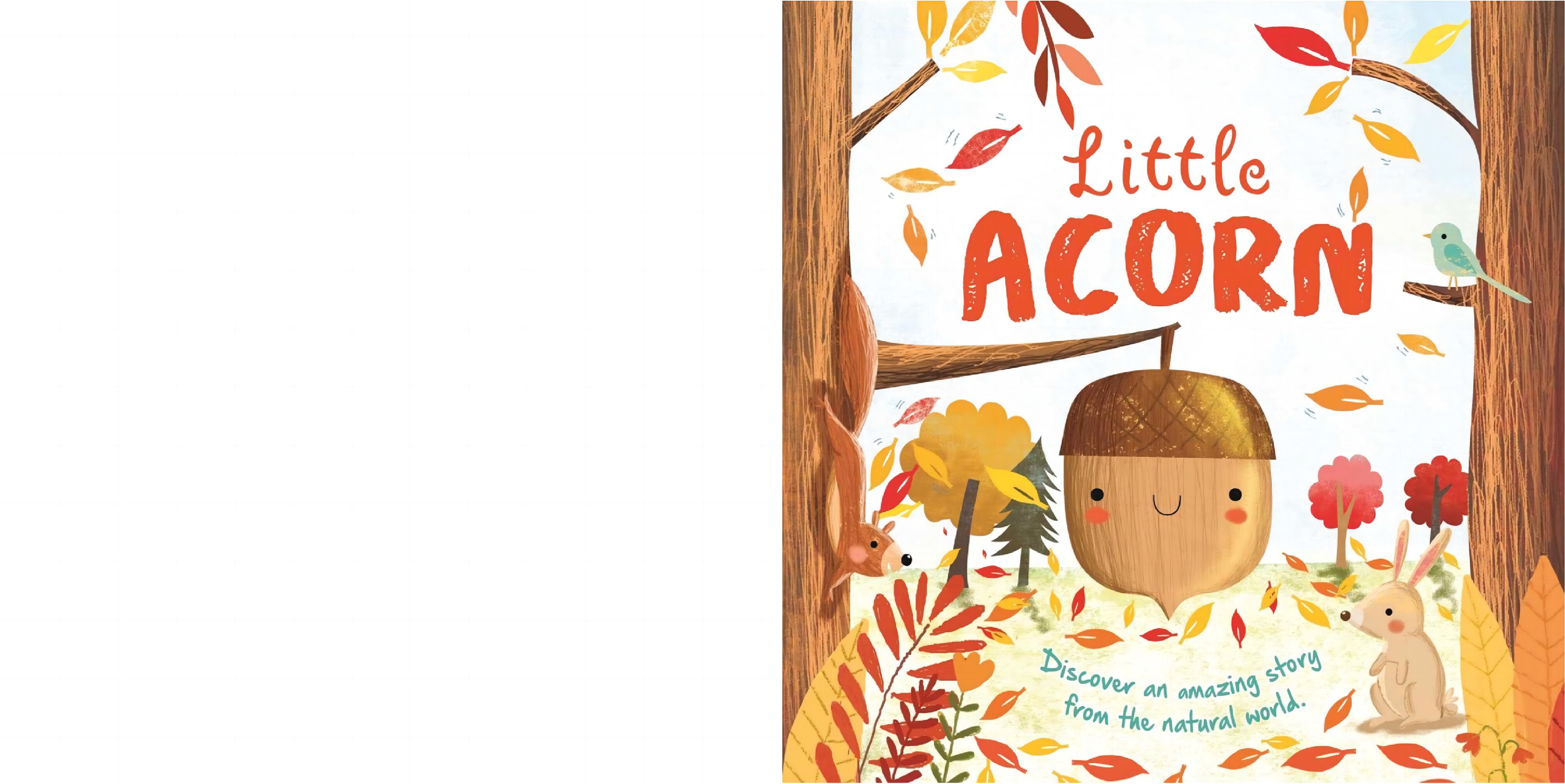 Little Acorn