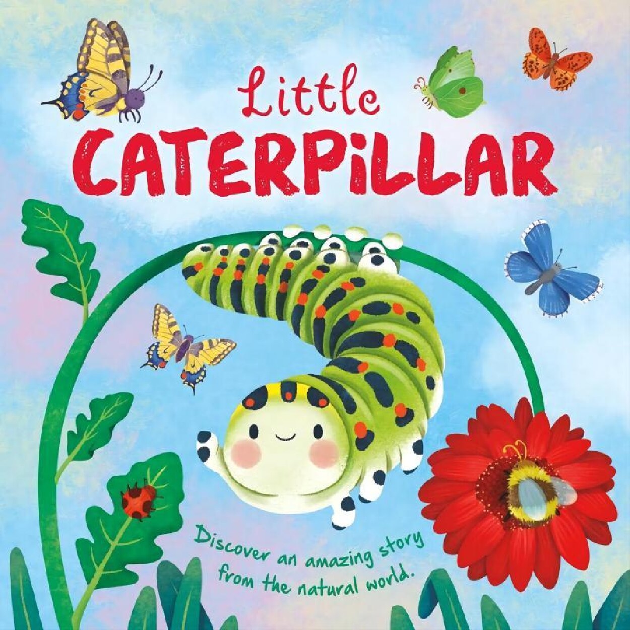 Little caterpillar