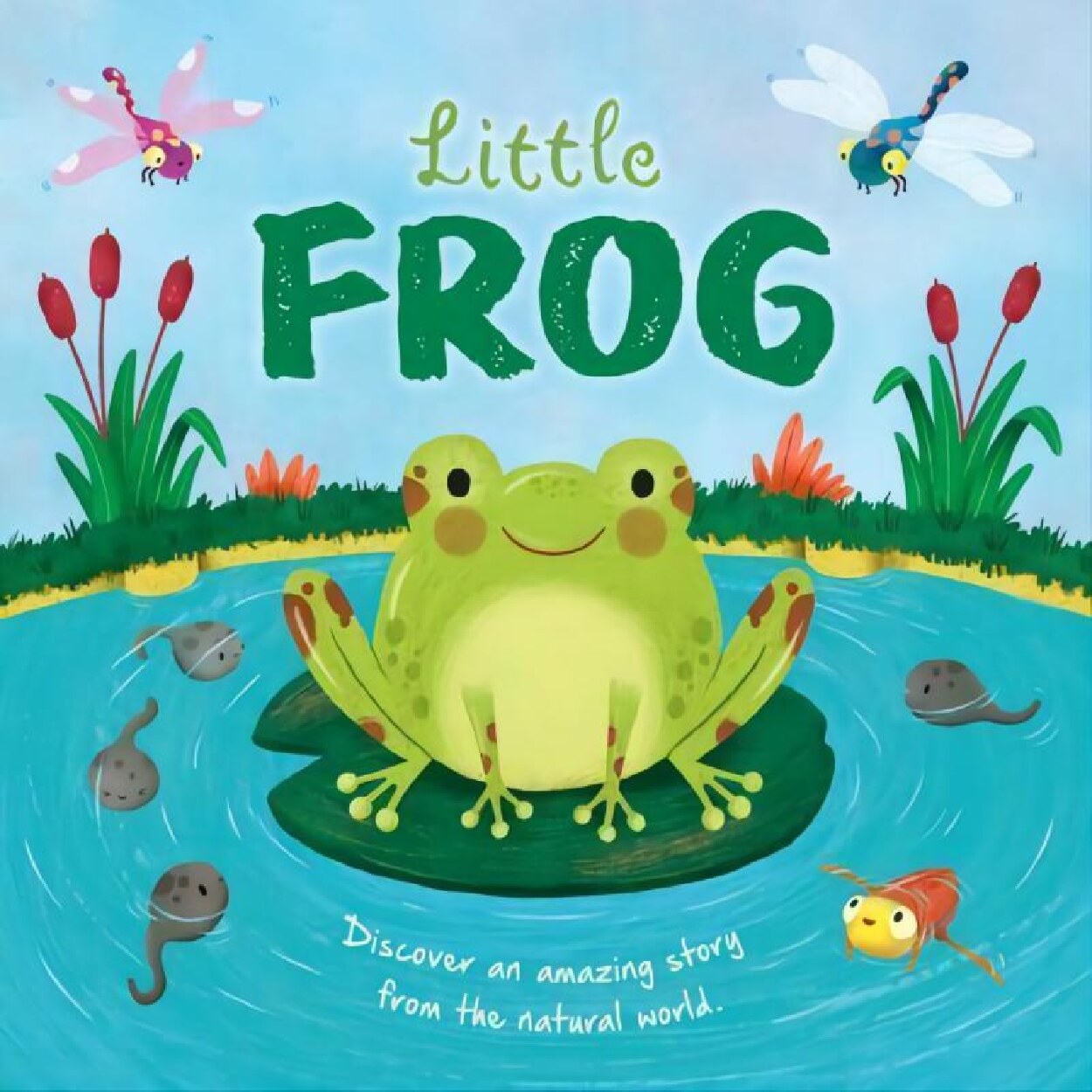 Little frog