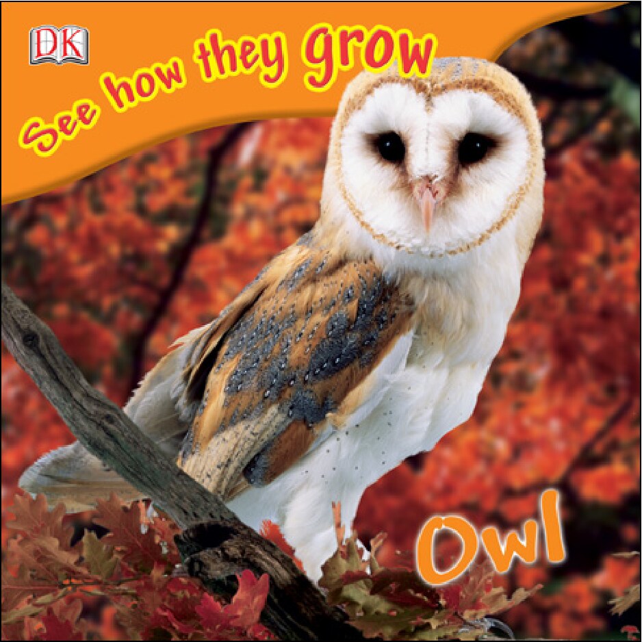 See how they grow Owl