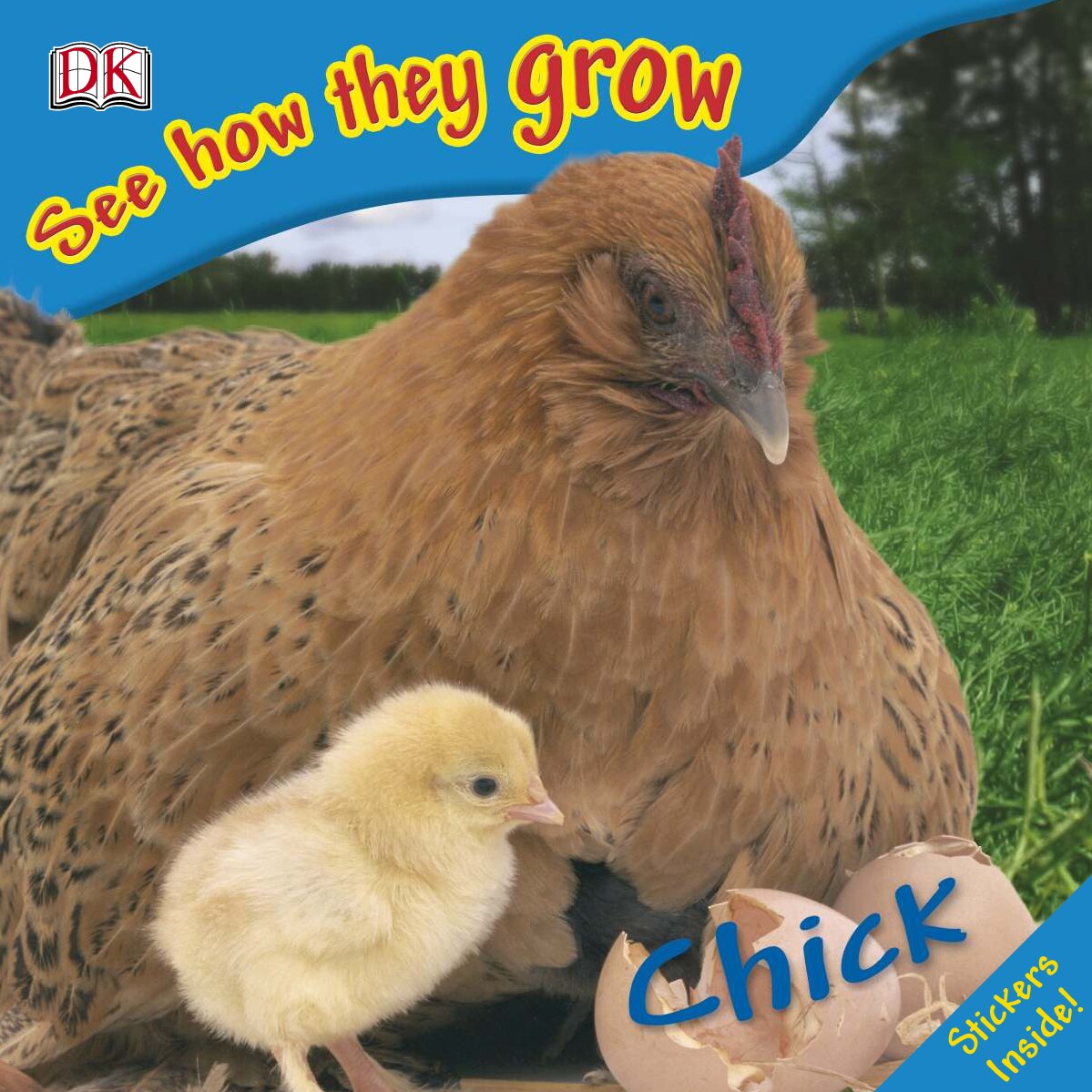 See how they grow Chick
