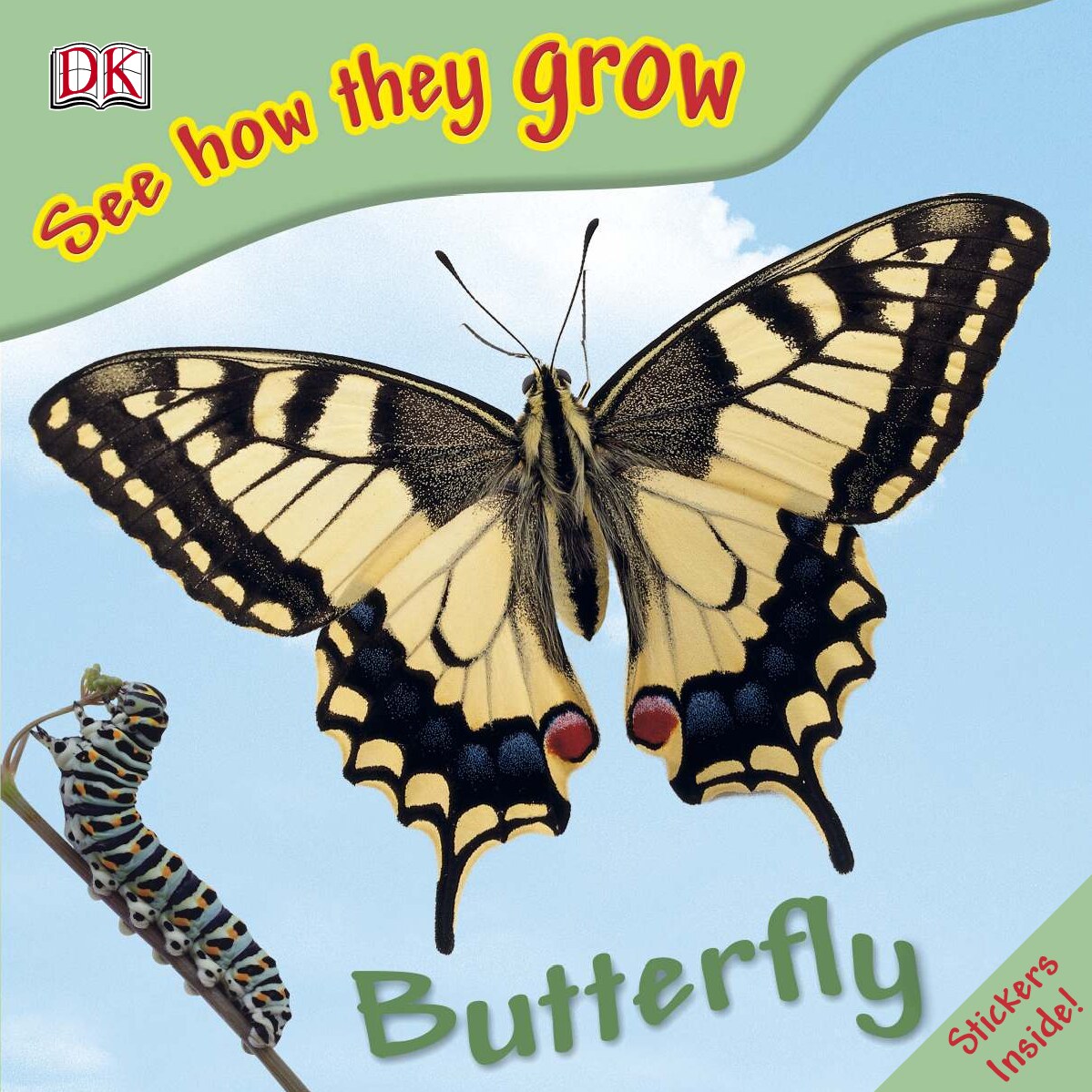 See how they grow Butter fly