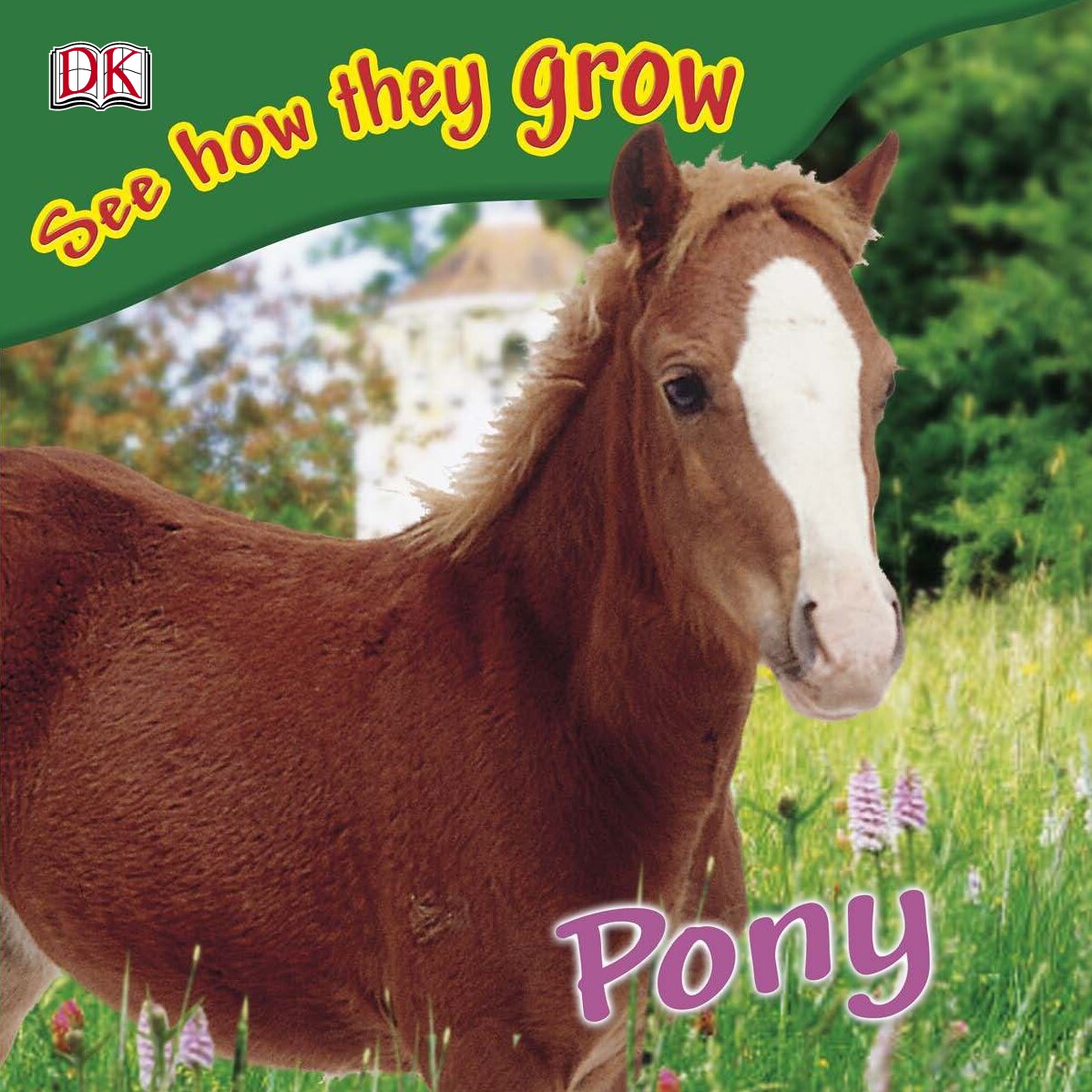 See how they grow Pony