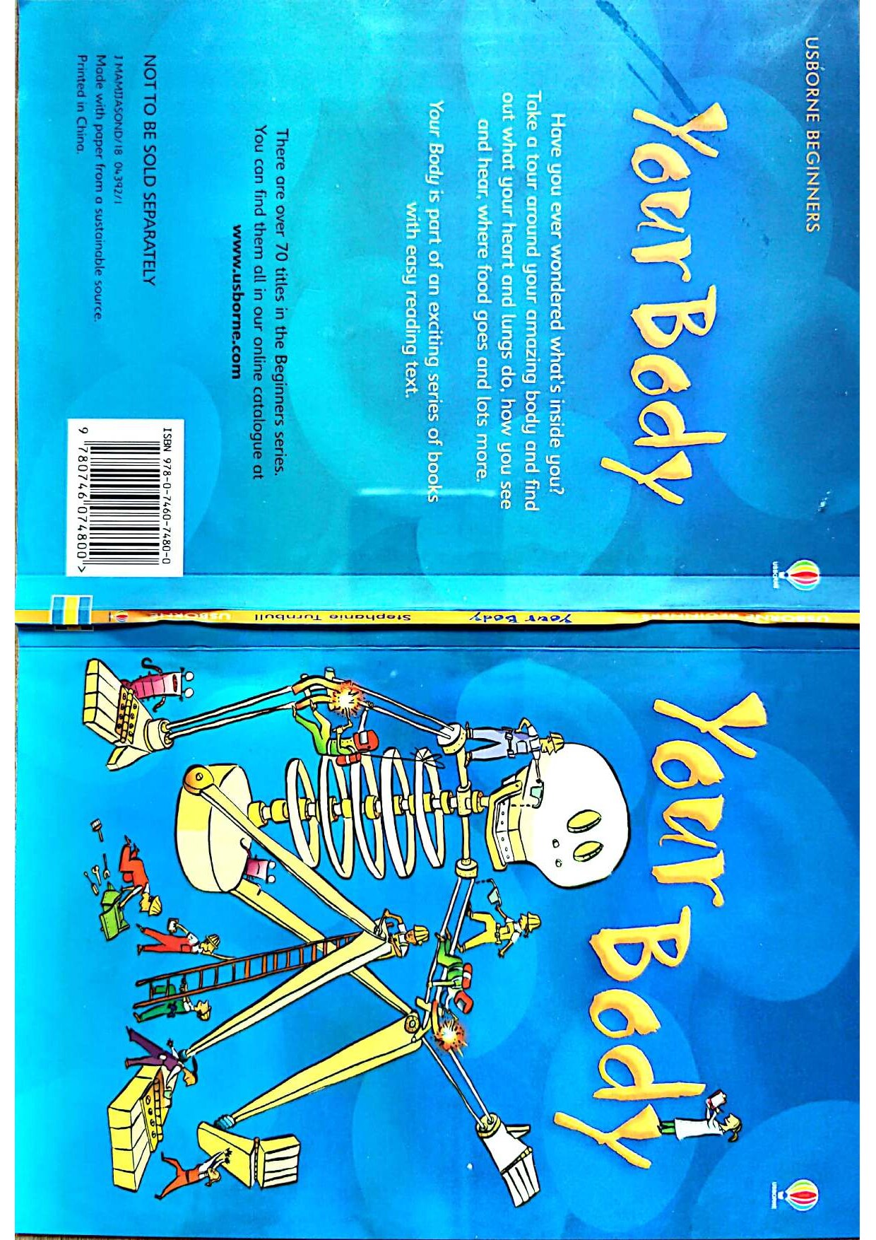 Usborne Binngers Your Body
