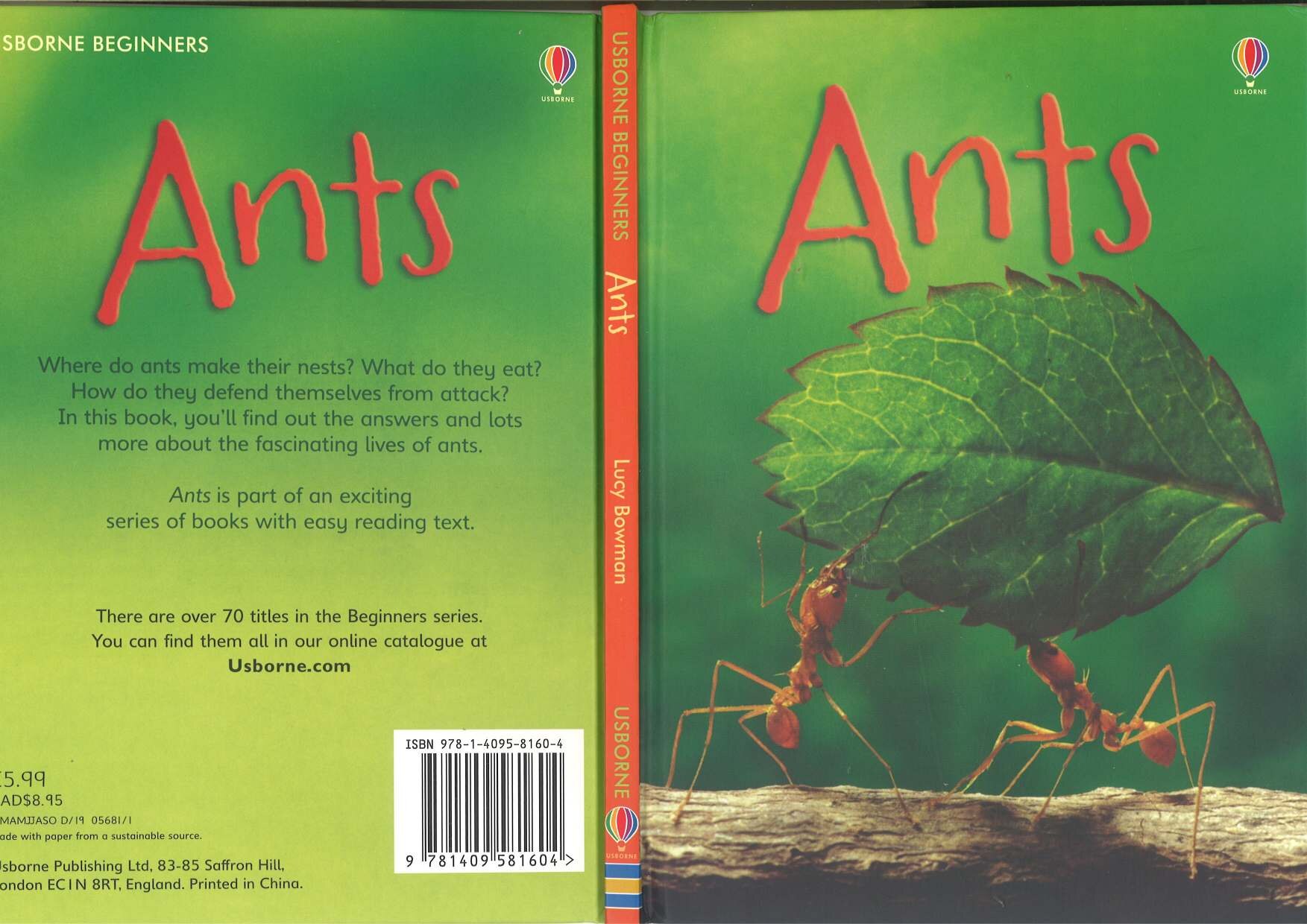 Usborne Beginners Ants