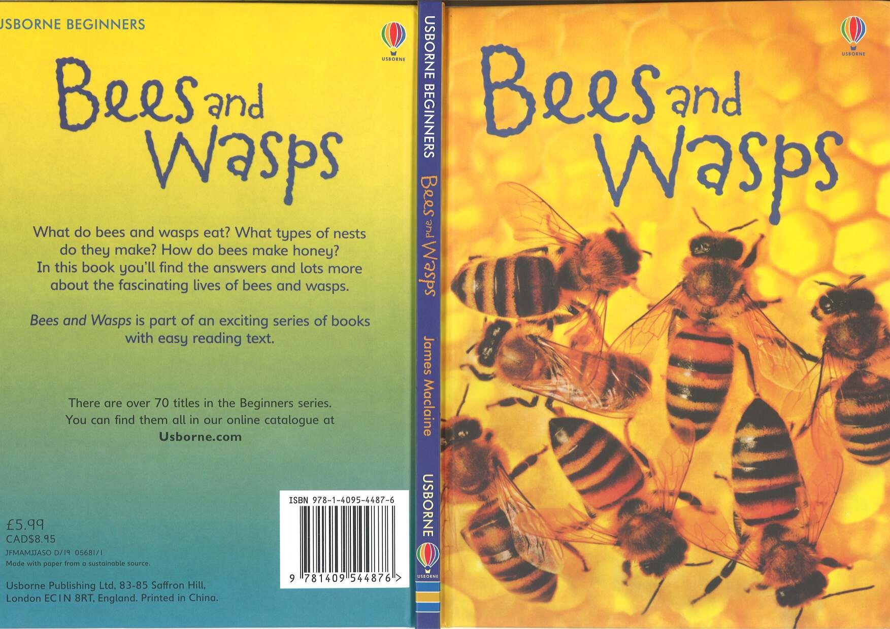 Usborne Beginners Bees and Wasps