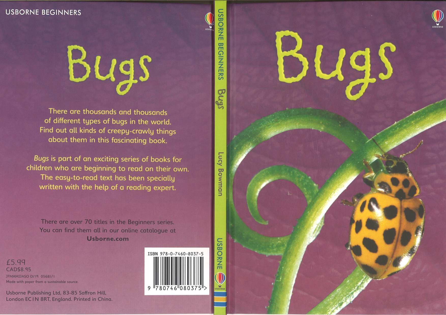 Usborne Beginners Bugs