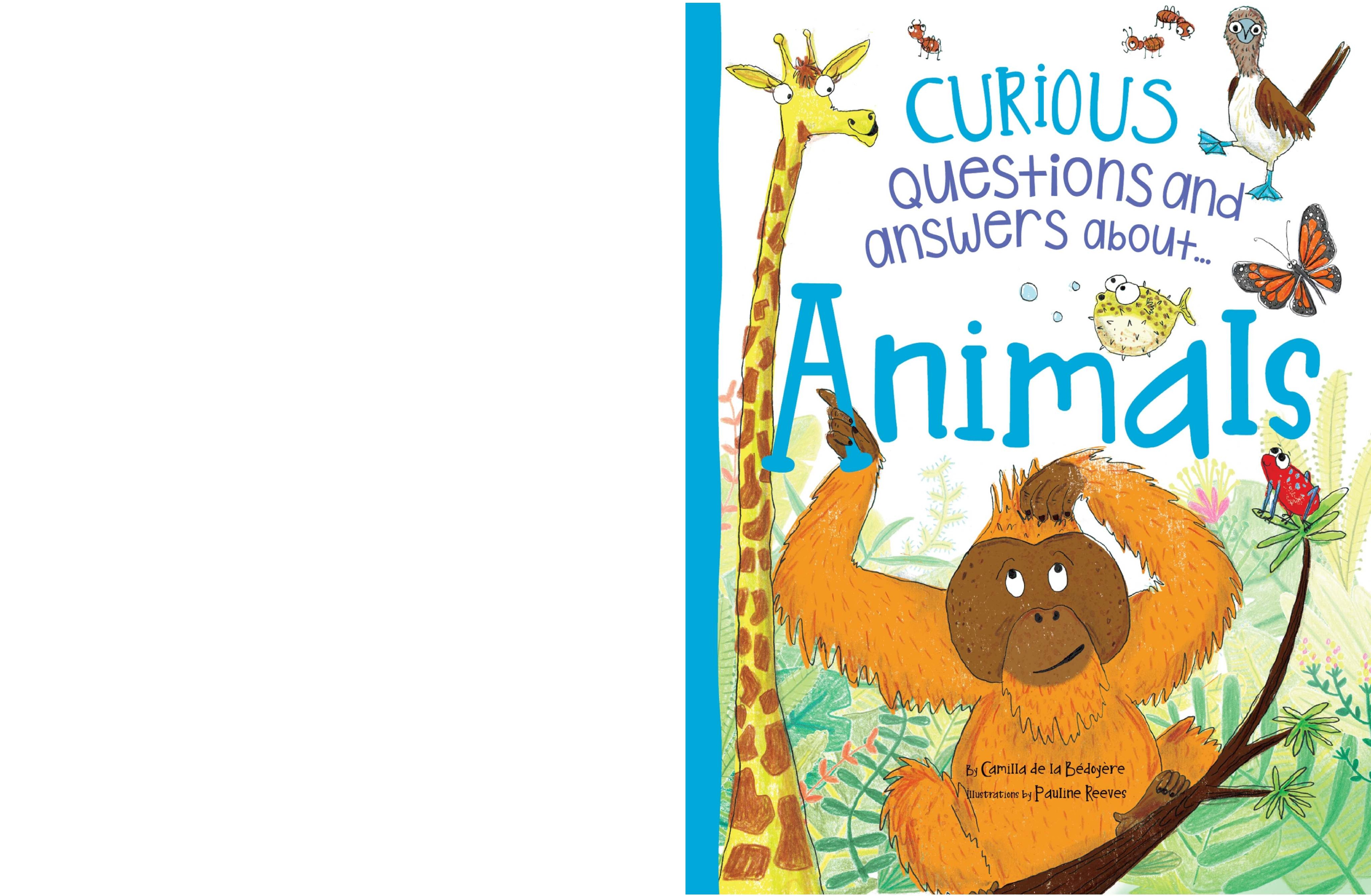Curious Questions and Answers About Animals