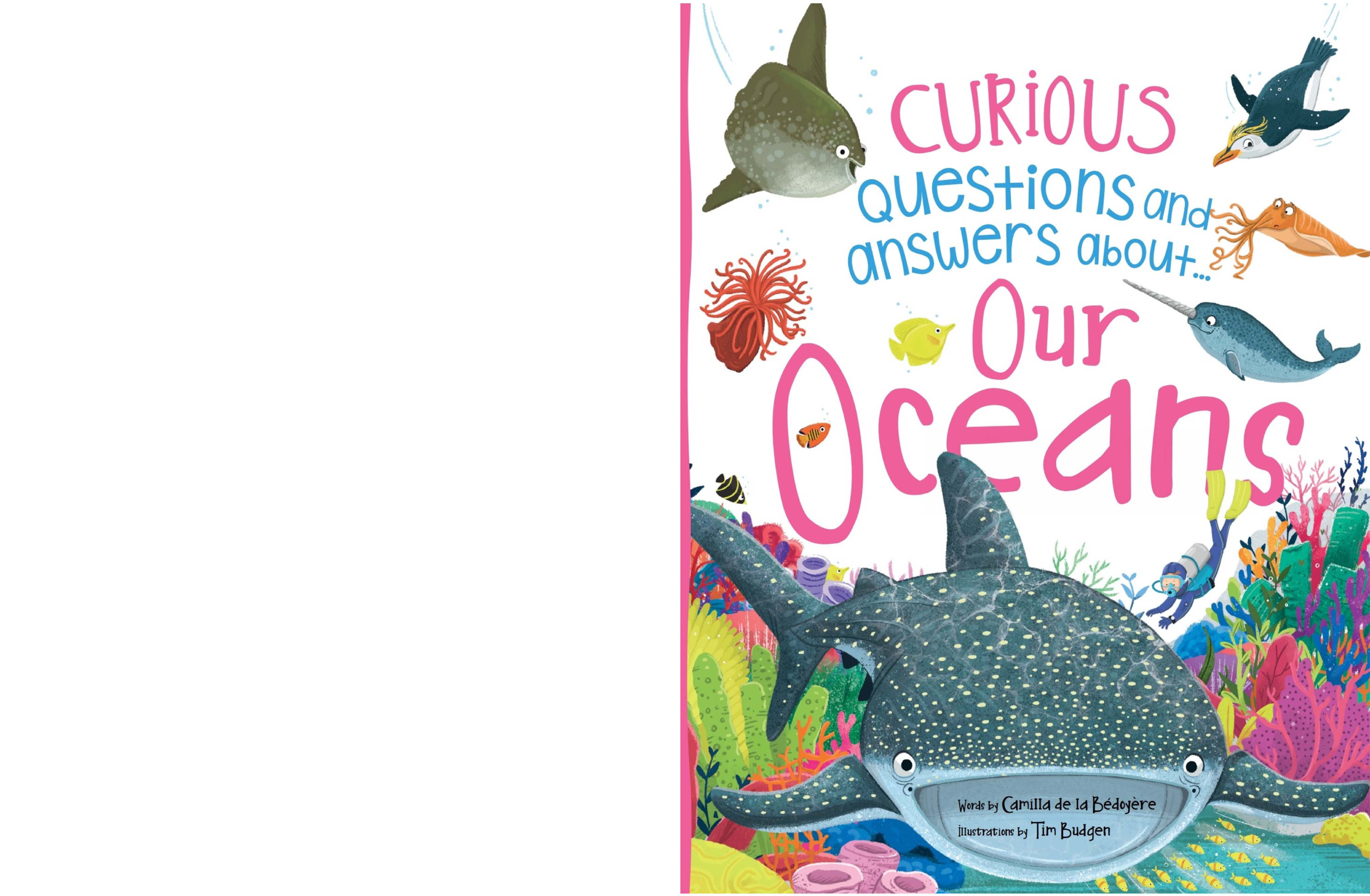 Curious Questions and Answers About Our Ocean