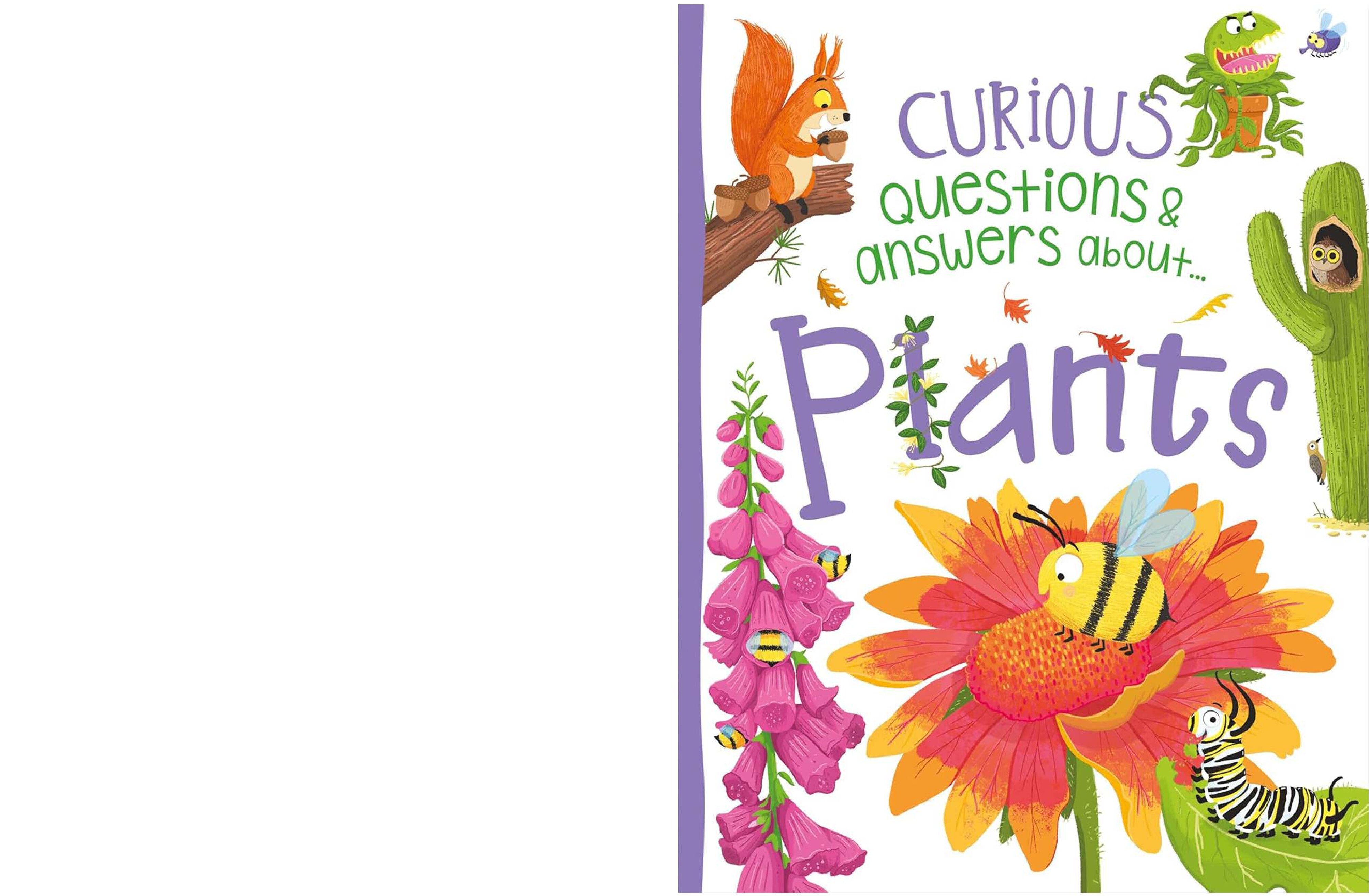 Curious Questions and Answers About Plants