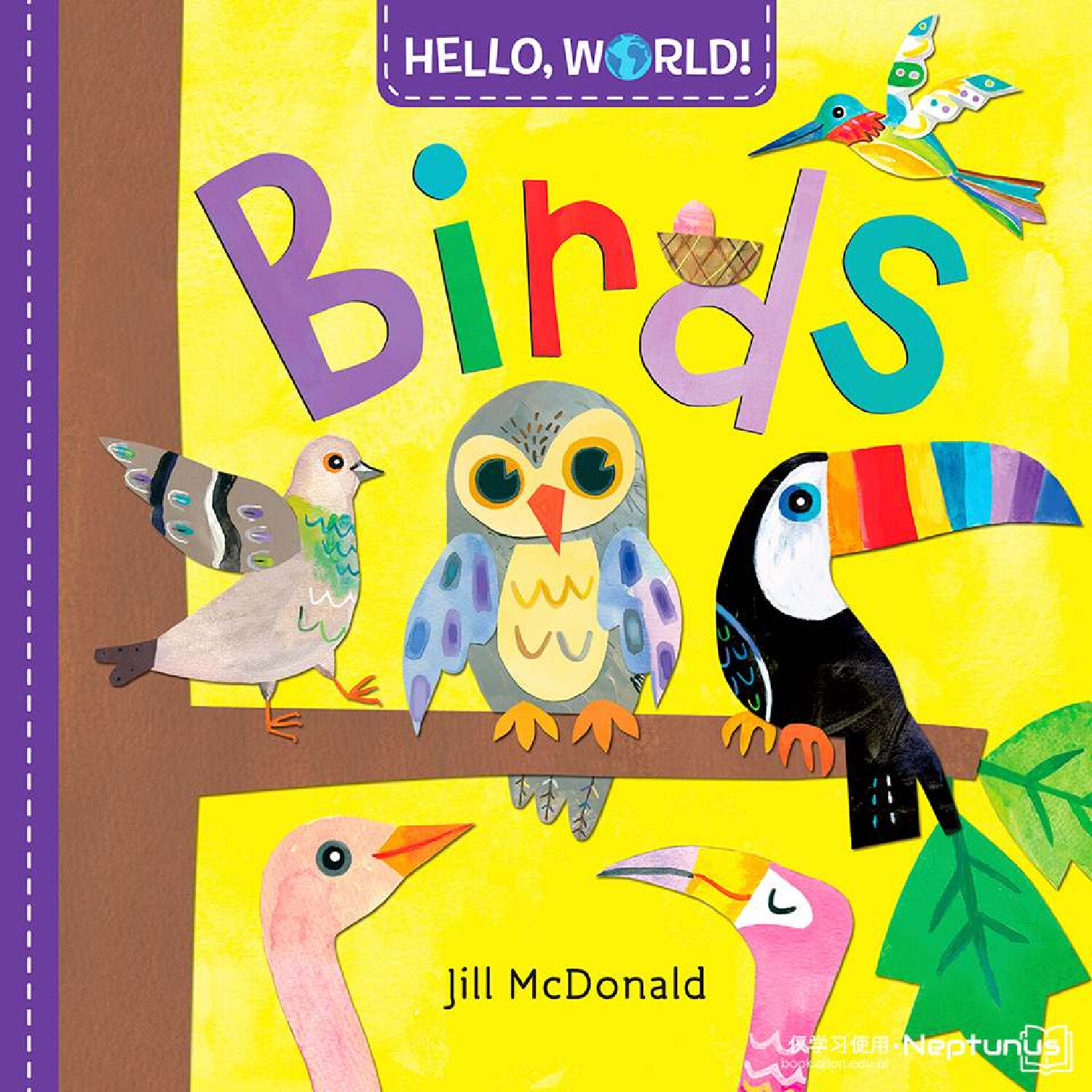 Hello World Birds