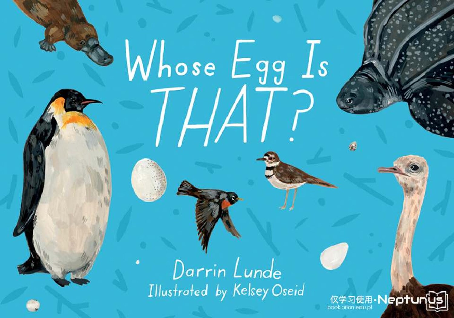 Whose Egg Is That ?