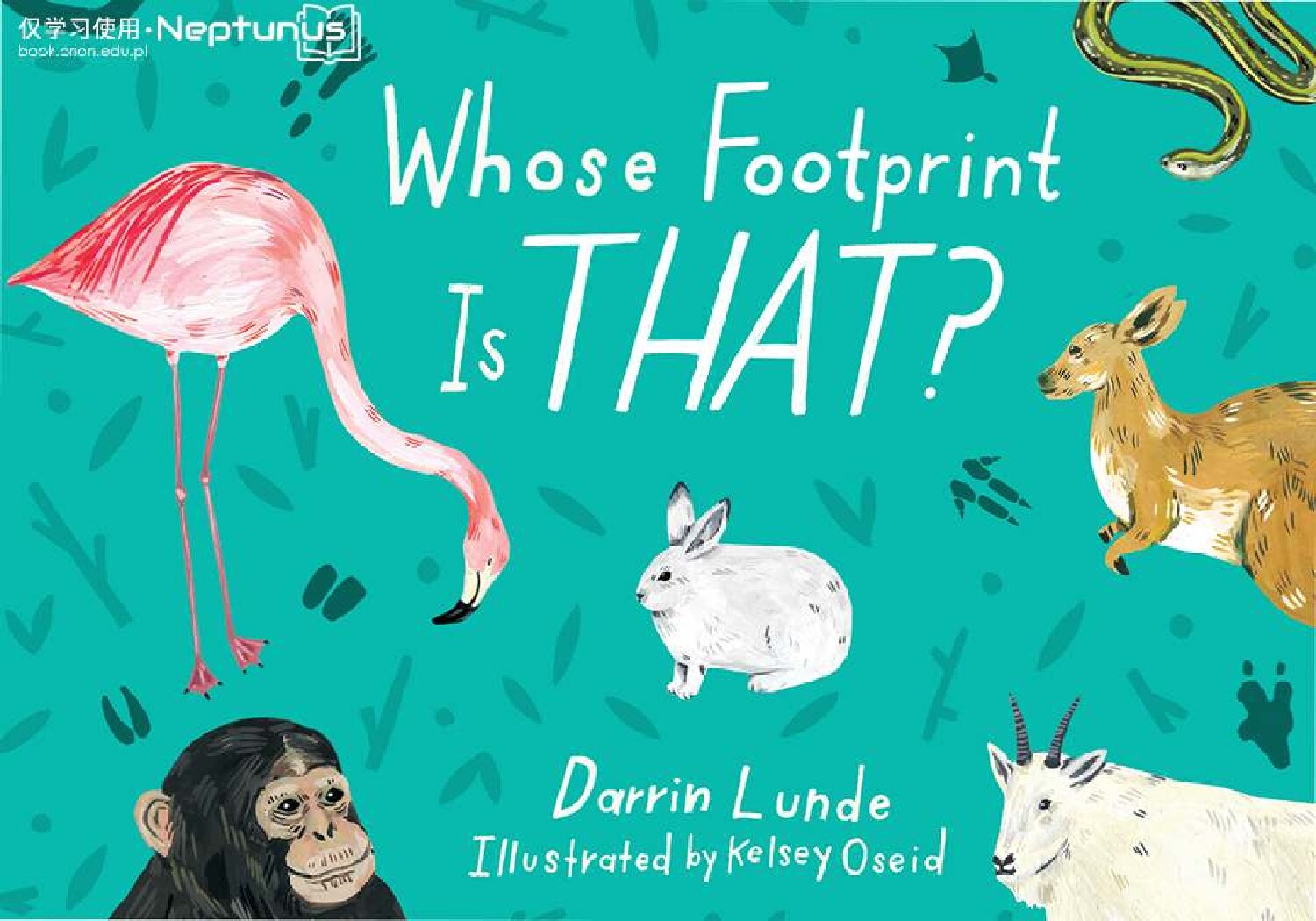 Whose Footprint Is That ?