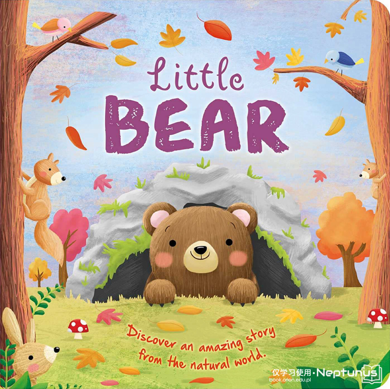 Little Bear