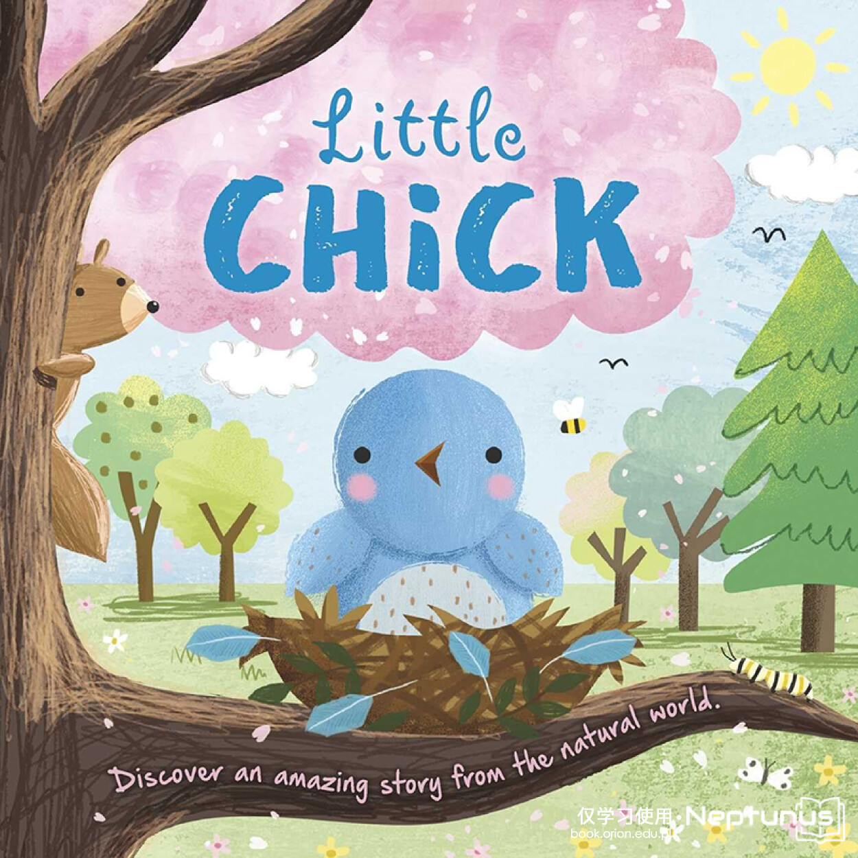 Little Chick