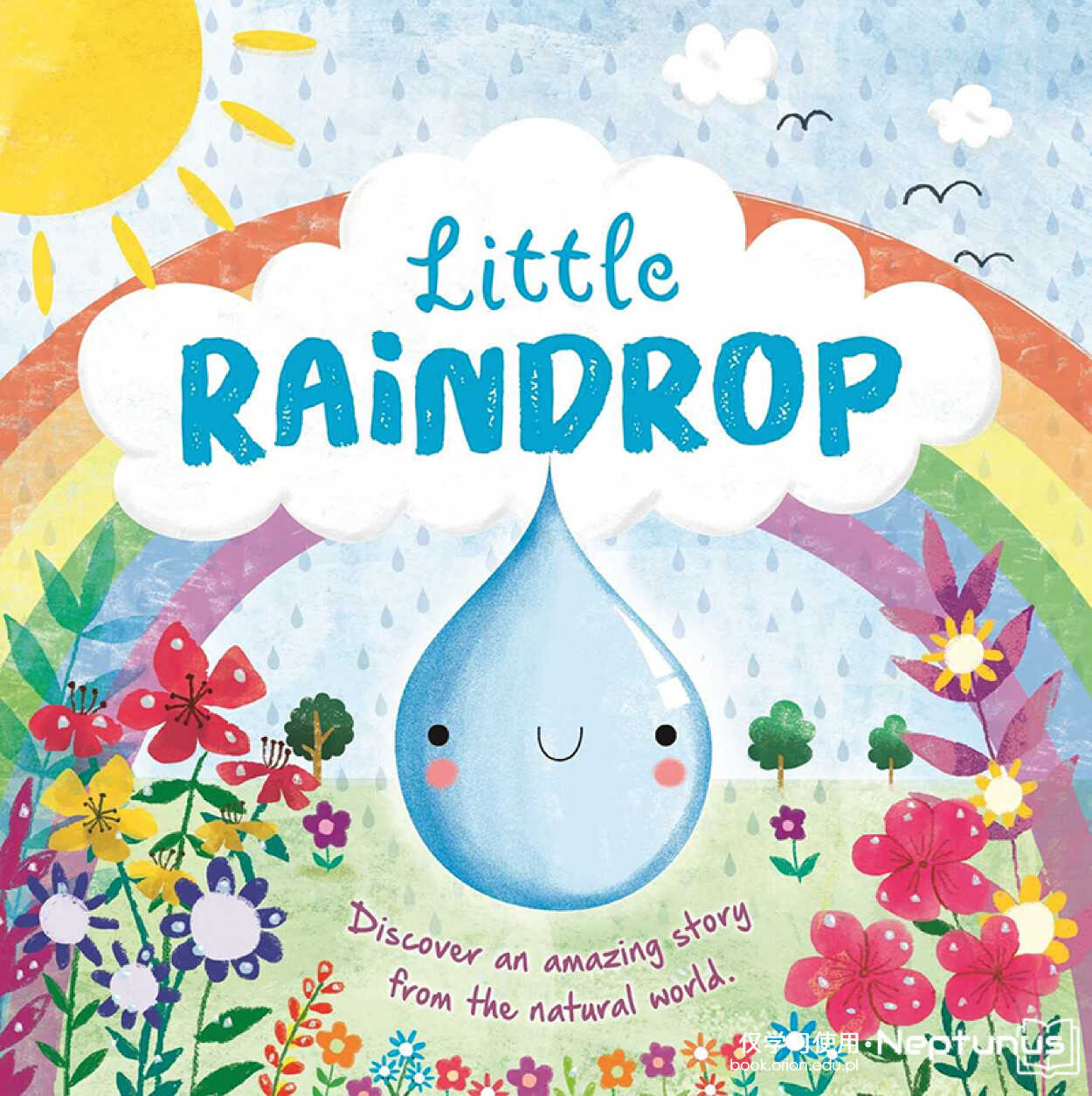Little Raindrop