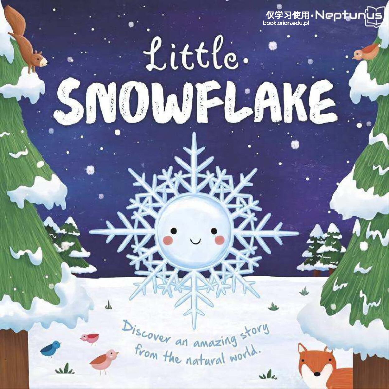 Little Snowflake