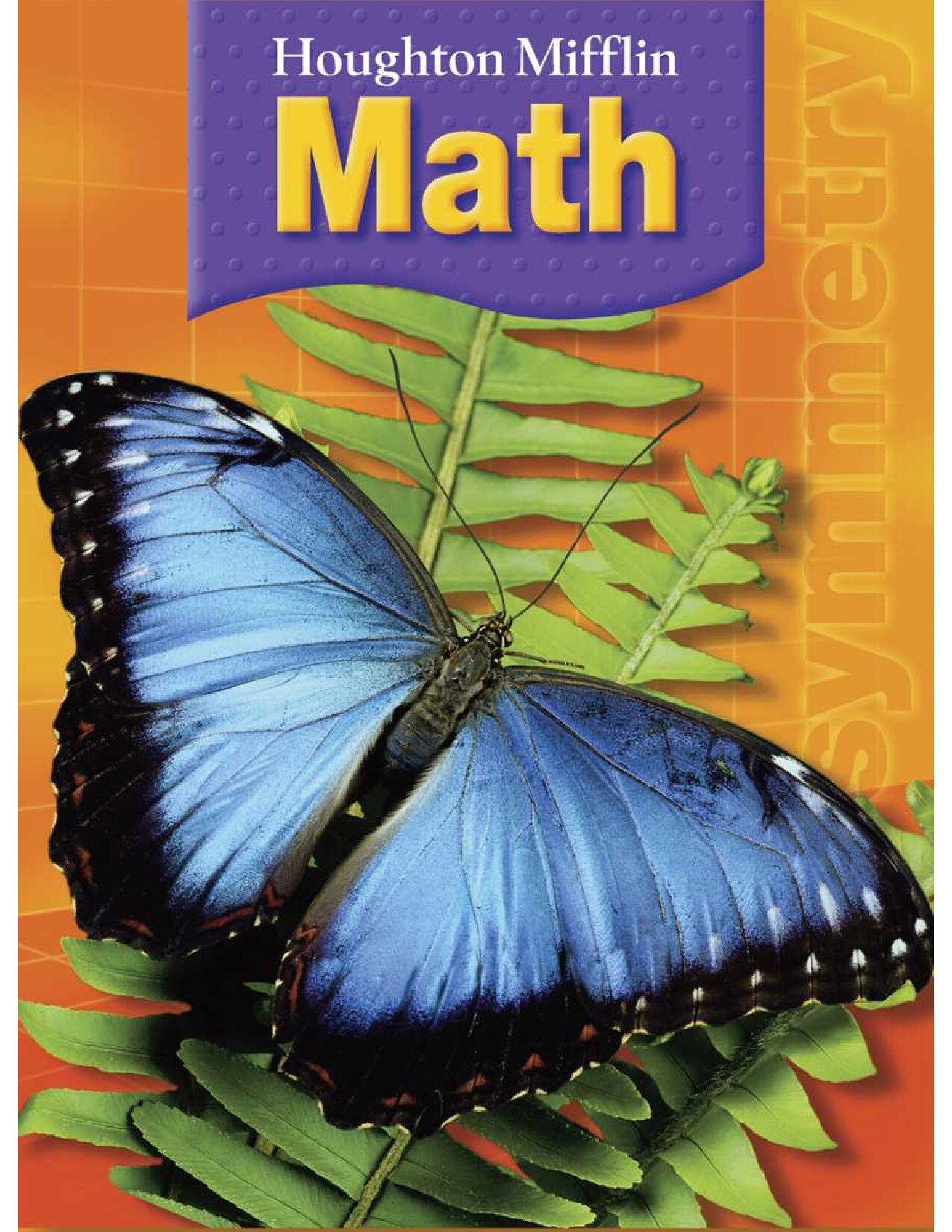 Houghton Mifflin Math Grade 3