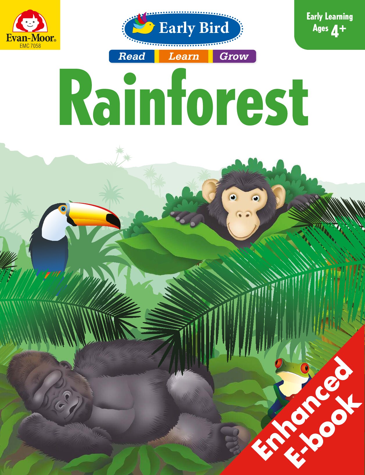 Early Bird Rainforest
